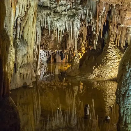 In - Istrien 42143 ポレッチ