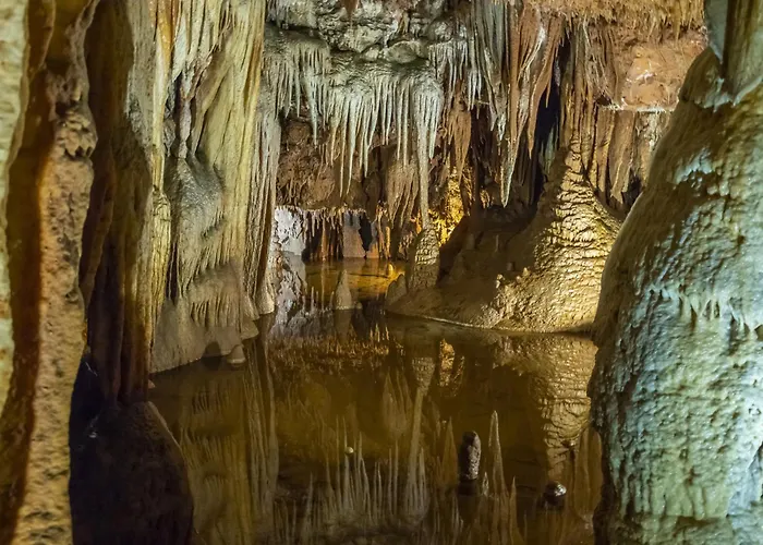 In - Istrien 42143 ポレッチ